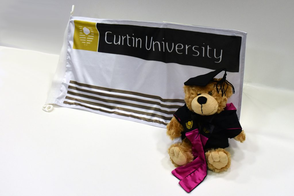Curtin flag and teddy bear